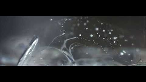 Rings Habits - Observastory