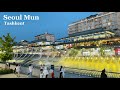 4K Seoul Mun Night View Tashkent Trending Music Fountain Travel Video 