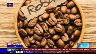 Fakta Data: Kisah Secangkir Kopi