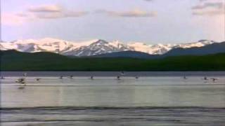 Download lagu Bo ade bahaya sampe