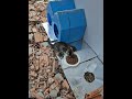 Hayıydıy Kadeş Ne çekiyon Diyen Pisicik Kedivideoları Cat Kedi Kediaşkı Cute Turkishcat