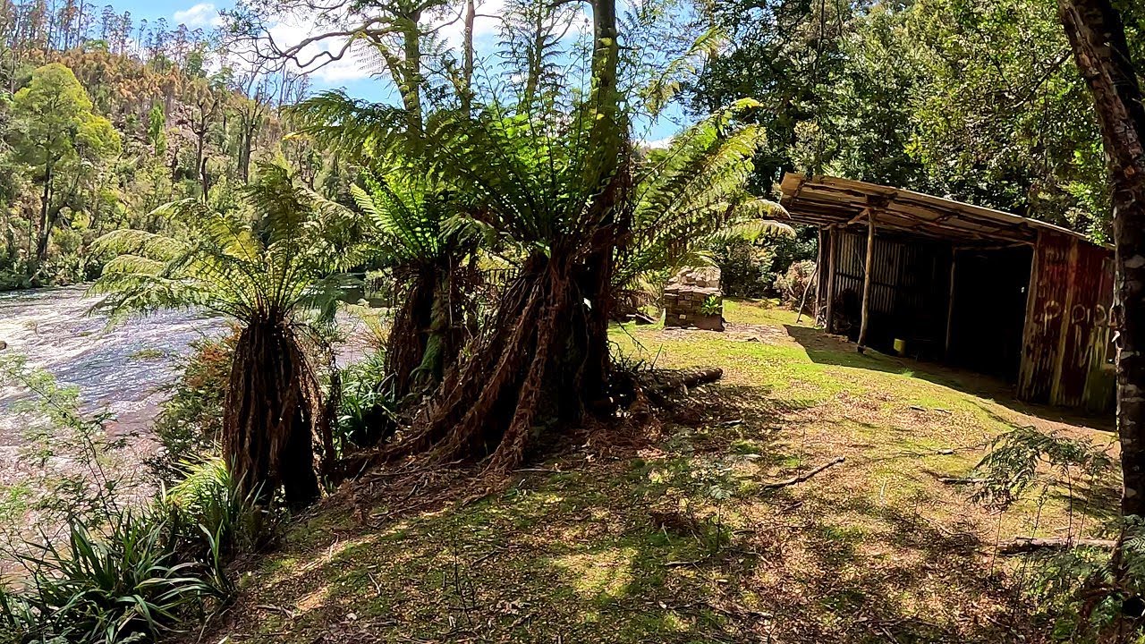 Riverside Hut/Shelter - 2025