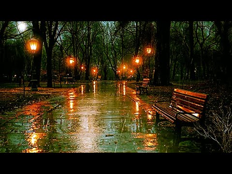 Falling Rain in Park at Night 🌧️ | Soothing Sleep Sounds / #FunAmbience