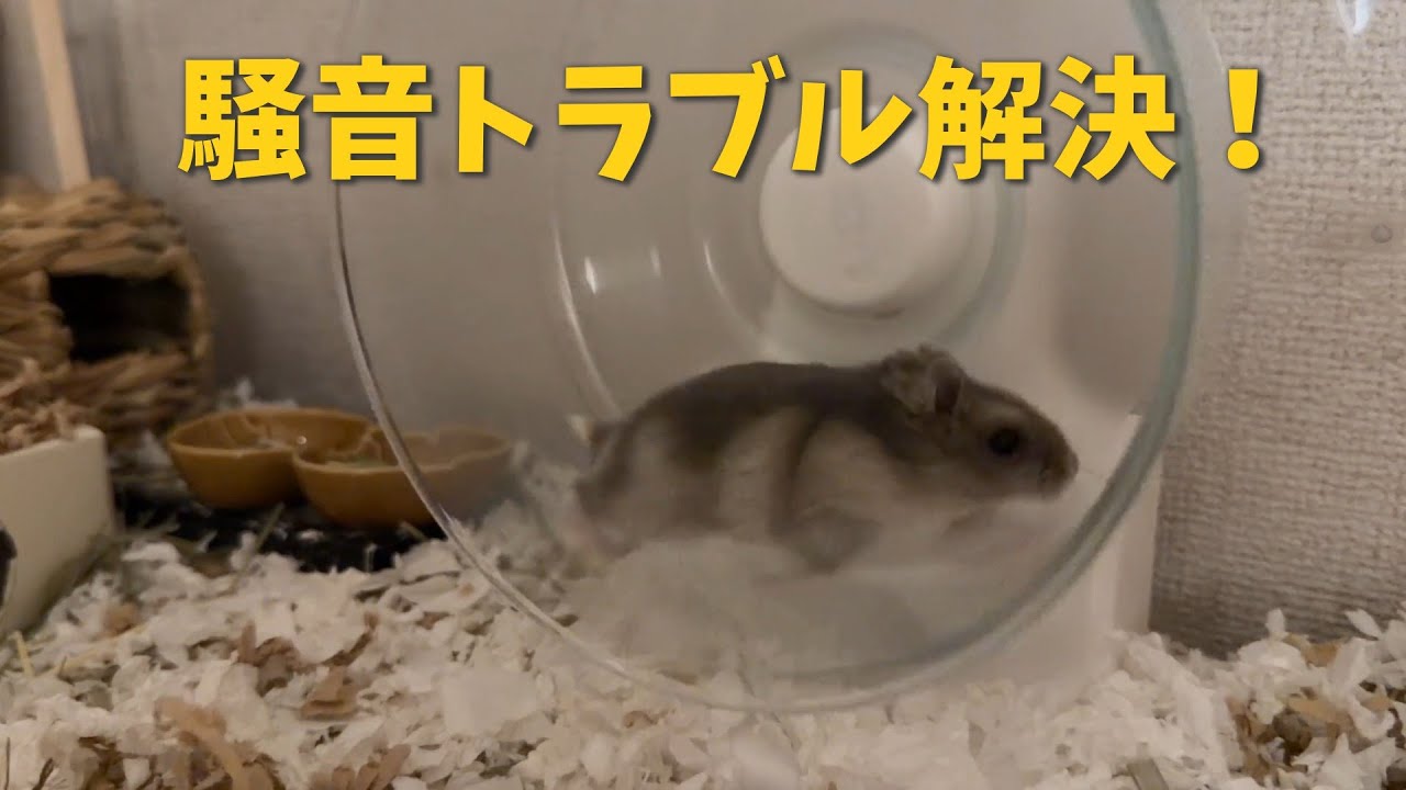 サンタとお揃い！新版スターライトホイール220を導入した結果