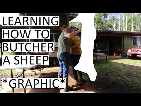 Learning How To Butcher A Sheep Off-Grid | Complete With Very Graphic Images and Some Adult Humor