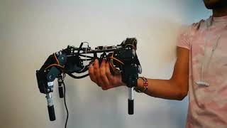 Quadruped robot Climbing Sequence