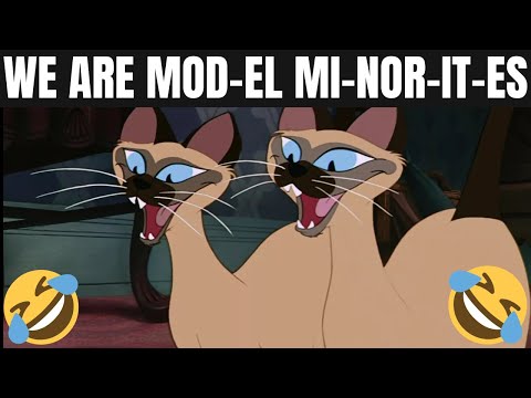 We Are Model Minorities | We Are Mod-el Mi-nor-it-es