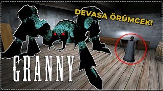 Grannyni̇n Örümceği̇ni̇ Büyüttüm