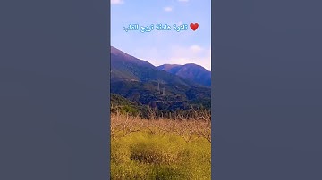تلاوة هادئة تريح القلب ❤️