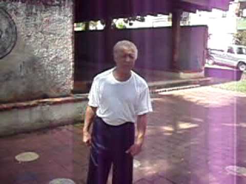 Shaolin Chang Chung Long Fist Kung-fu Dominicano Master Felipe Suarez 08