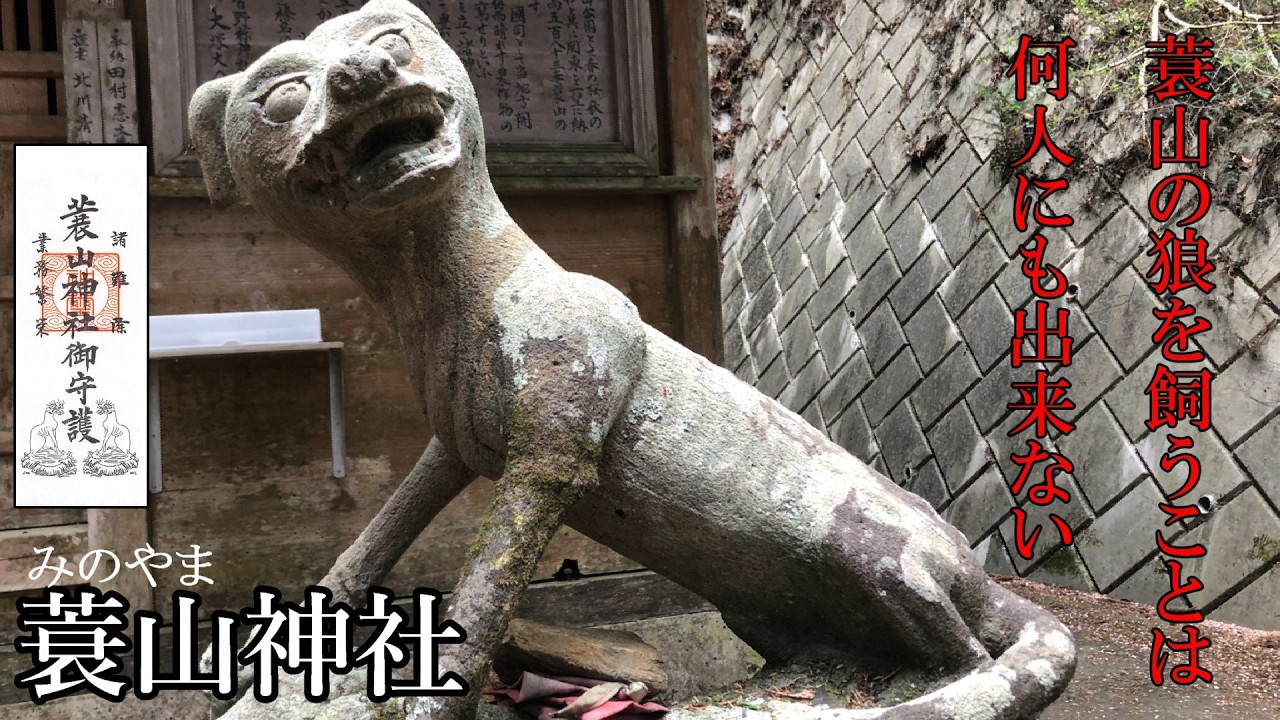 横山 (メラナウ族の悪魔像) Wolf Statue] Minoyama Shrine: A thin wolf statue, but in