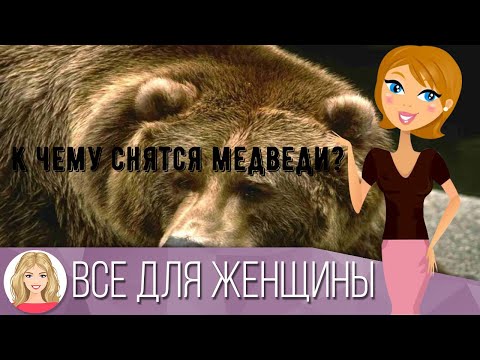 К чему снятся медведи?