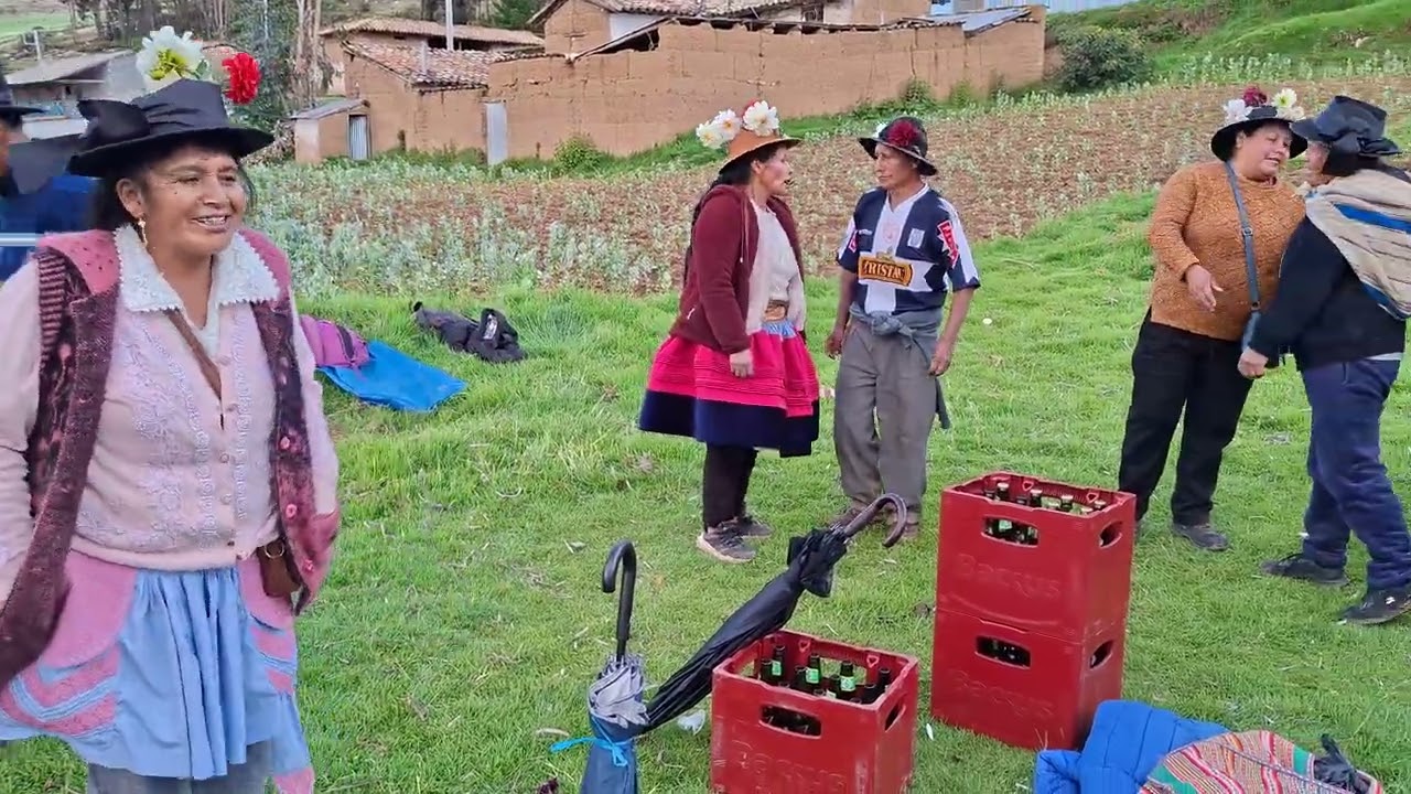 Recultivo 2026 SAMUEL PAUCAR Y ESP LILIANA VILA  PACHACHACA PUCARA 