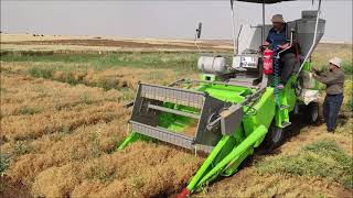 Olgunlar Tohumculuk 2021 Faaliyetleri