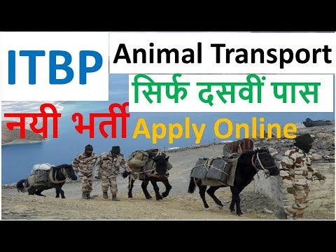 ITBP New Vacancy || ITBPF Recruit Animal Transport Post For 10th Pass  Candidate || Bita Result - YouTube