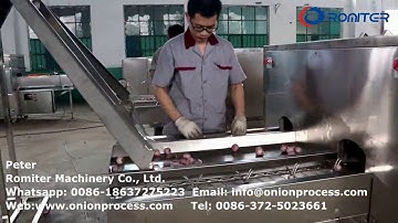 Full Automatic Small Onion Peeling , Onion Root Cutting and Onion Slicing Line for India Custome