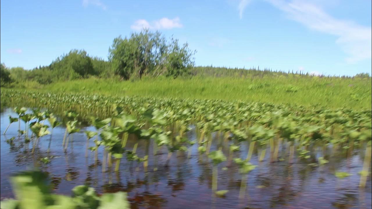 Скалам гряды Чернышова