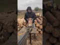 Splitting firewood woodworking 3 #woodworking #chipper #woodchipper #treework #engineering