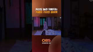 귀신도 놀라 자빠지는 기생의 기이한 잠버릇 #오포졸 #강유미 #귀신 #개그 #웃참 귀신도 놀라 자빠지는 기생의 기이한 잠버릇 #오포졸 #강유미 #귀신 #개그 #웃참