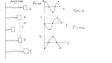 Graphs of Simple Harmonic Motion