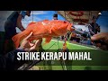 STRIKE KELILING BOT! Trip Cari Ikan Sedap | Bot Padu Tekong Padu