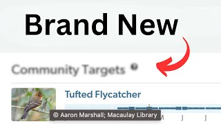 eBird Just Made a MAJOR Update to the Explore Tab (new features)