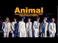 【Special Dance Edition】「Animal」Music Video / BALLISTIK BOYZ from EXILE TRIBE