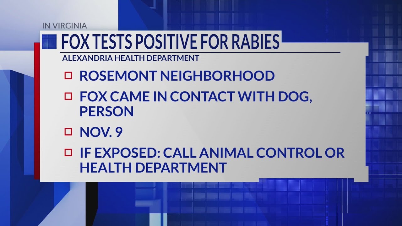 Health officials warn of increased rabies exposure risk in Alexandria community