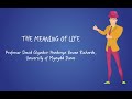THE MEANING OF LIFE & WHY WE WILL NEVER UNDERSTAND IT