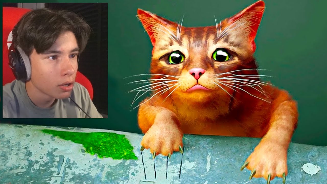 Ik ben een zwerfkat... | Stray