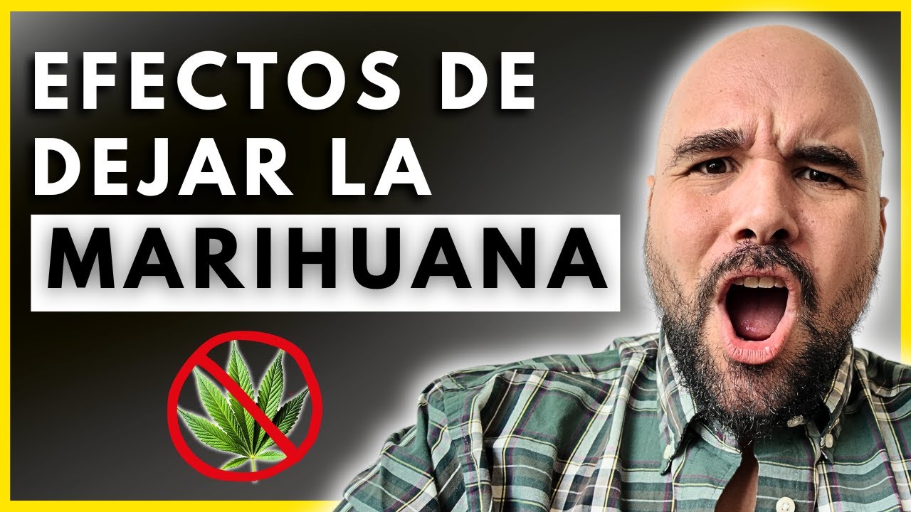 Lo que Pasa cuando Dejas la Marihuana | 9 Beneficios Sorprendentes