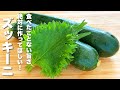 【ズッキーニの簡単レシピ】大葉と合わせて炒めるだけ！うますぎる。