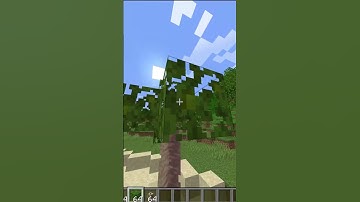 How To Make a Palm Tree In Minecraft🌴#shorts #minecraft