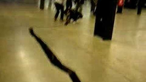 Doris Salcedo - Shibboleth