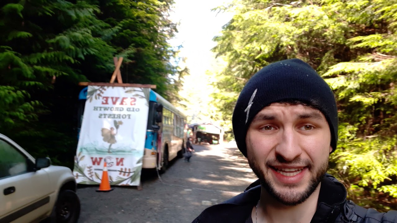 The Fairy Creek Rainforest needs your help!!