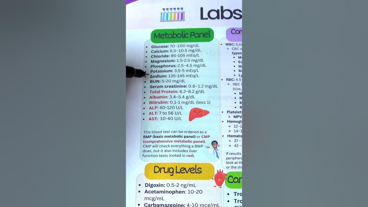 Bmp vs cmp metabolic panel nursing lab values for nclex in less than