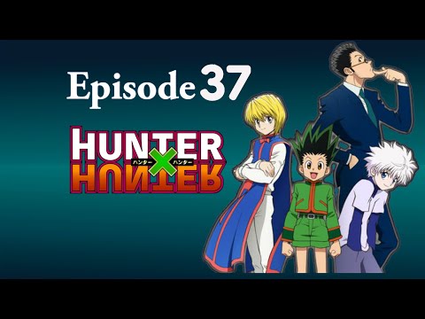 HUNTER×HUNTER 1〜34 37 PP11716HXH_Hunter_x_Hunter_250