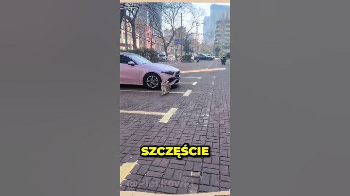 UNIKNĄŁ wizyty U WETERYNARZA...⚡