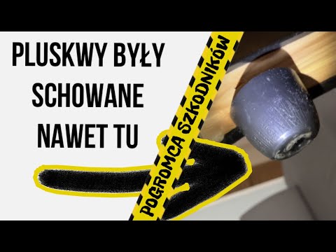 Wideo: Jak wykrywać pluskwy w domu?