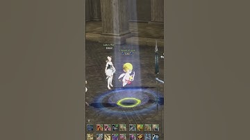 L2 Arcane World - Weapon up down