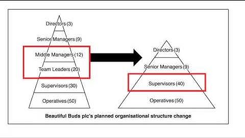 GCSE OCR Business   9 Mark Question referring to data