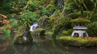 Zen Garden (15 sec.)