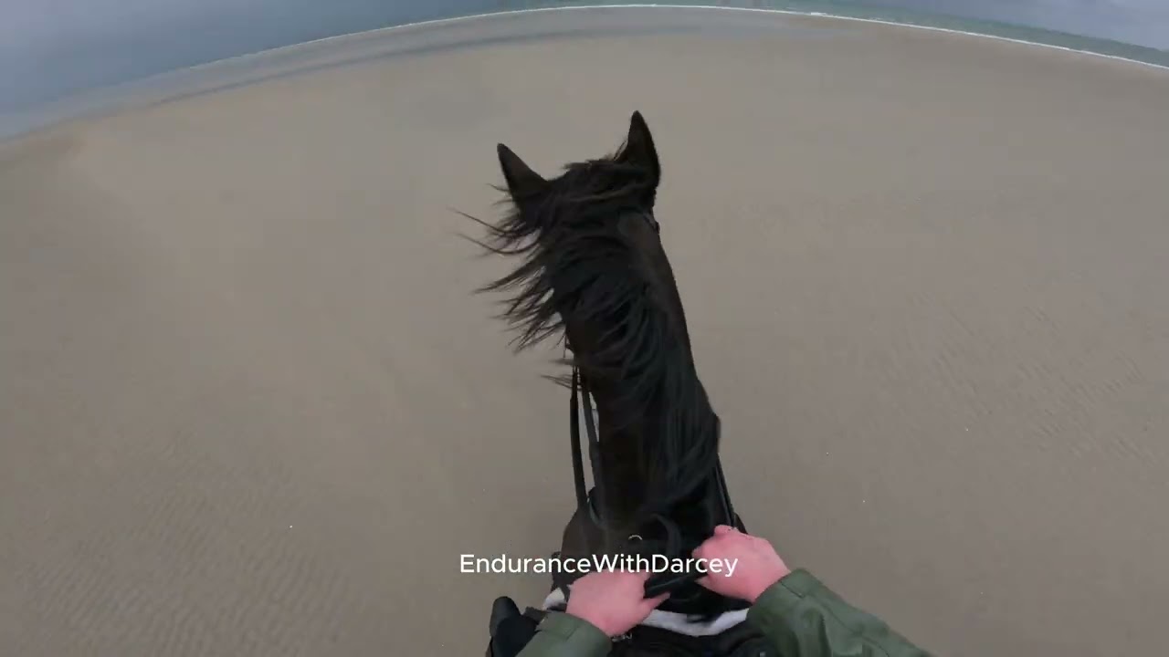 Old video of my horses Darcey and Grebe's trip to the beach!