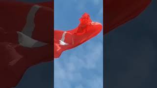 Bu Bayrak - Esat Kabakli Resimi