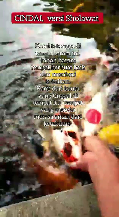 CINDAI, versi Sholawat yaa Rasulullah