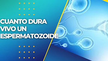 ¿Pueden vivir los espermatozoides en las sábanas?