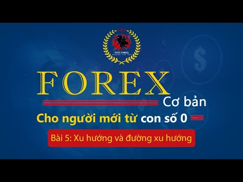 Video: Đăng cách điện cho đường dây tải điện trên không