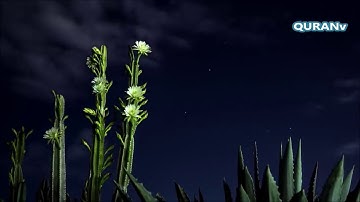 فَلَا أُقْسِمُ بِمَوَاقِعِ النُّجُومِ  تلاوه تقشعر لها الابدان للشيخ ياسر الدوسري