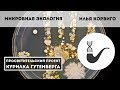 Микробная экология – Илья Корвиго