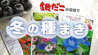 お花の冬の種まき/銀だこの容器を使うよ【ベランダガーデニング】